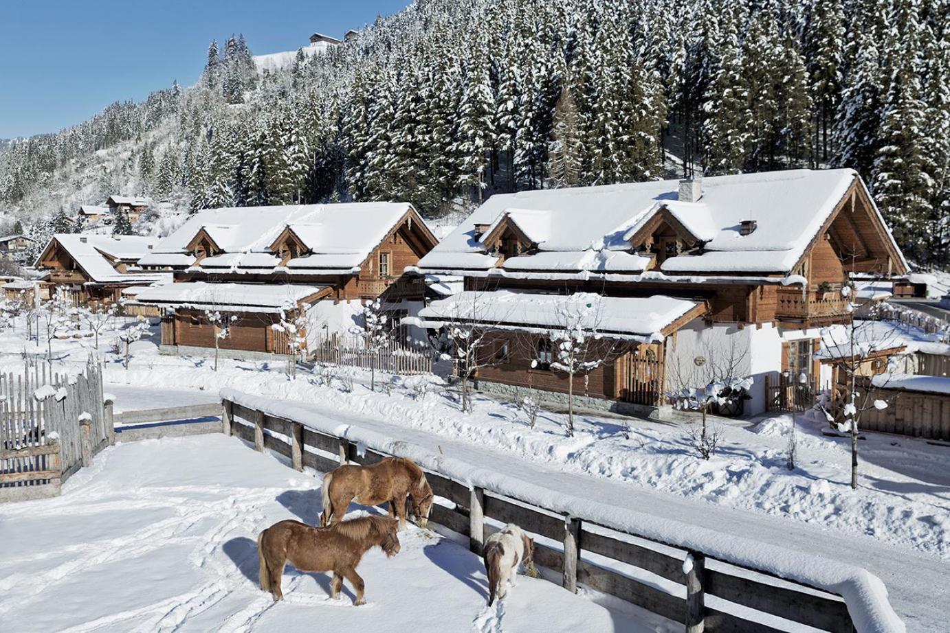 Feriendorf Holzlebn Grossarl Exteriér fotografie