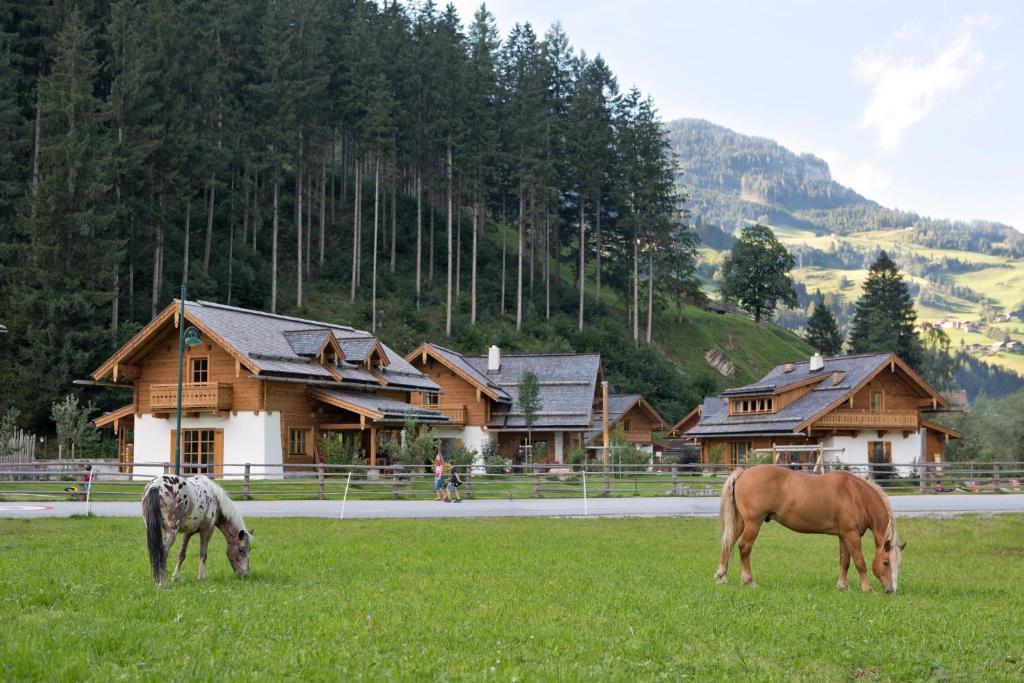 Feriendorf Holzlebn Grossarl Exteriér fotografie